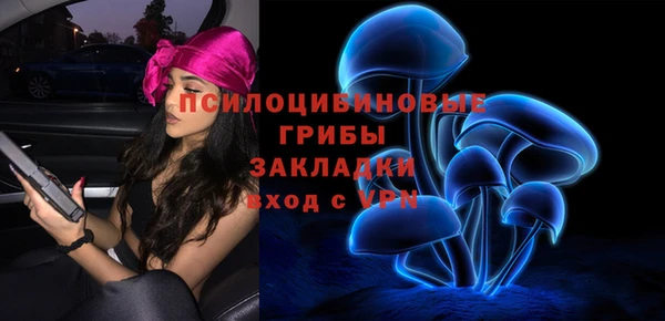 не бодяженный Абдулино