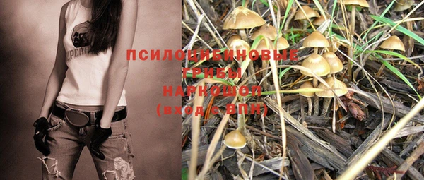 дурь Абаза