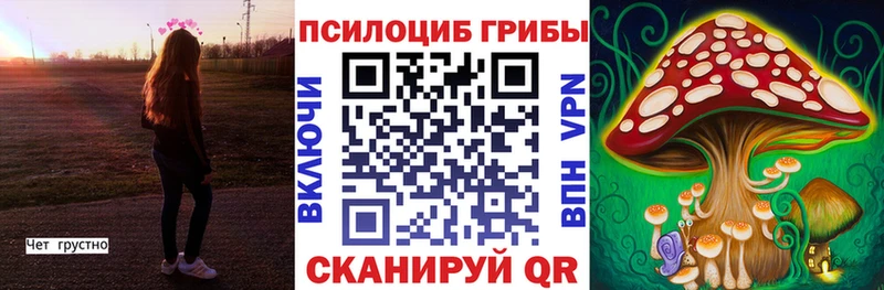 хочу   Югорск  Галлюциногенные грибы MAGIC MUSHROOMS 